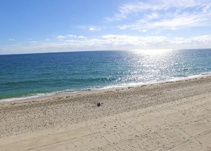 Best Florida Resort